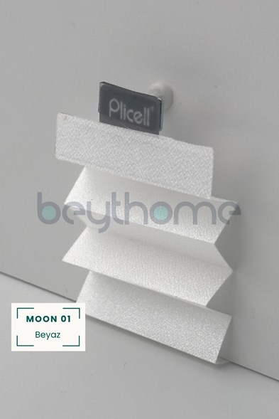 Plicell Moon