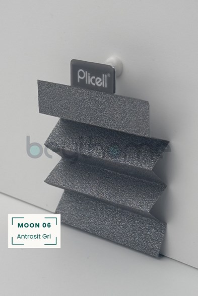 Plicell Moon