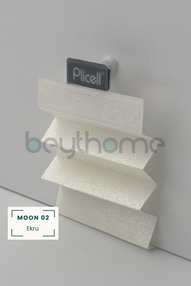 Plicell Moon