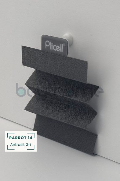 Plicell Parrot